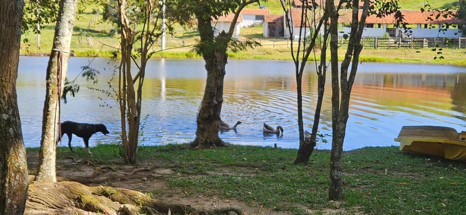 Hospedagem Fazenda Nova América Brotas Exterior foto